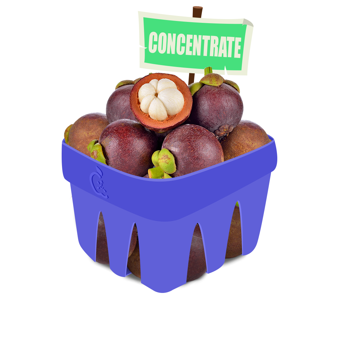 Mangosteen Concentrate Arkaios Fresh