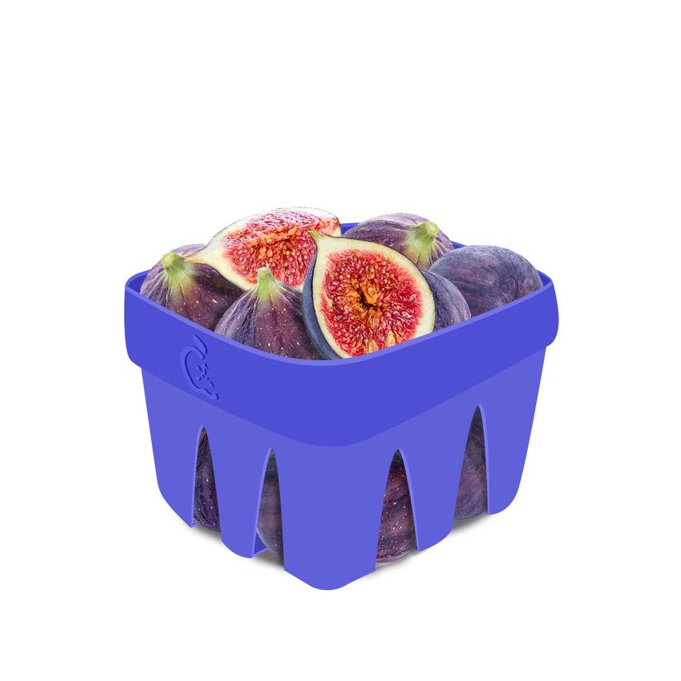 Fig