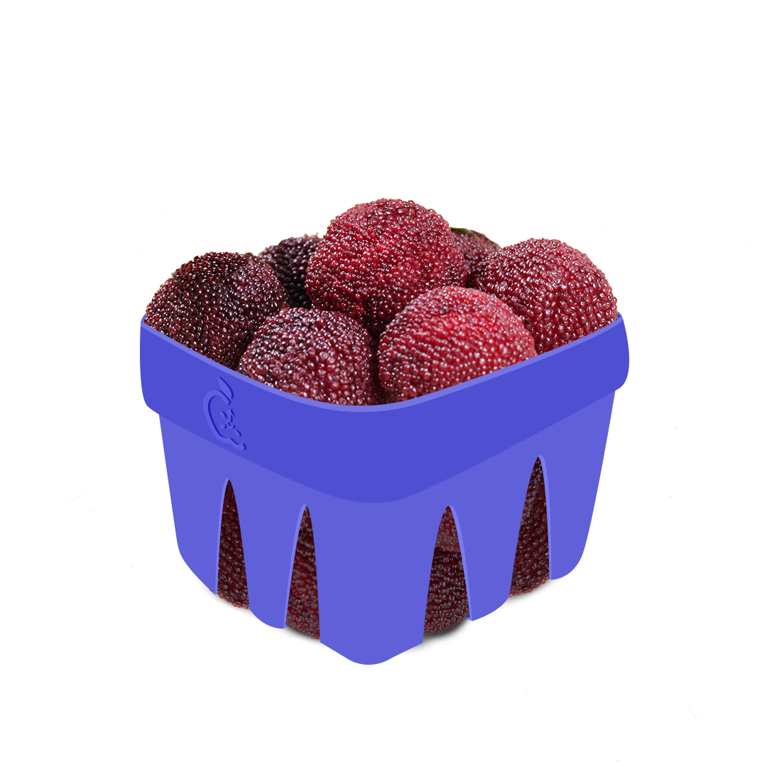 Yumio Raspberry Yumberry – Arkaios Fresh