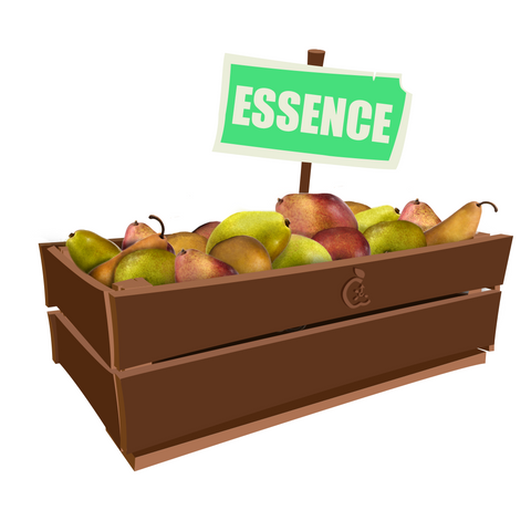 Pear Essence