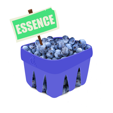 Blueberry Essence