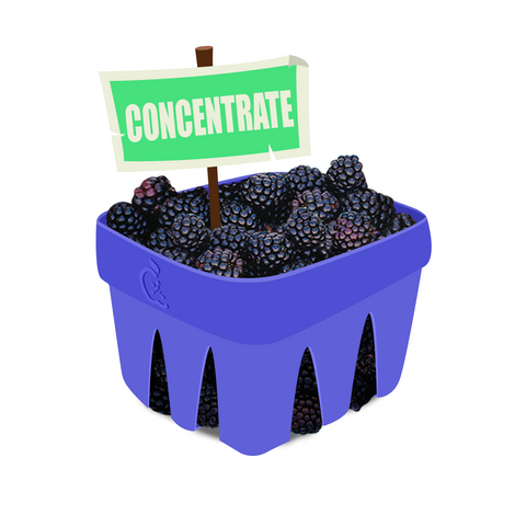 Marion Blackberry (Marionberry) Concentrate