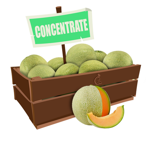 Melon  Concentrate