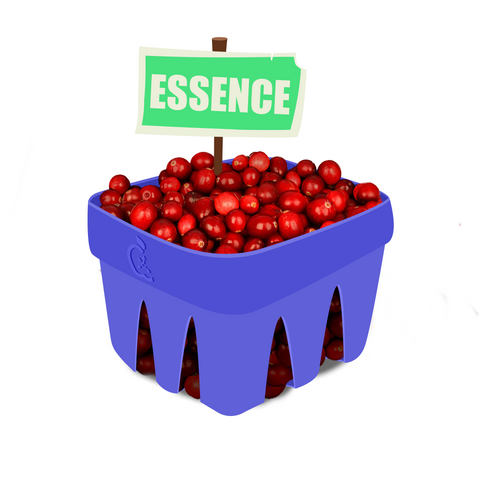 Cranberry Essence