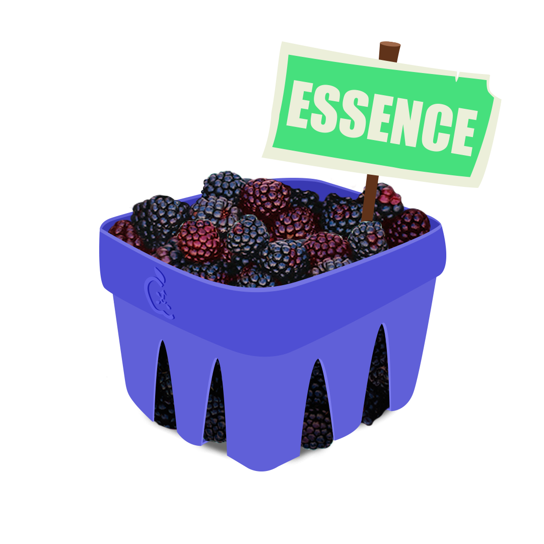 Boysenberry Essence Arkaios Fresh