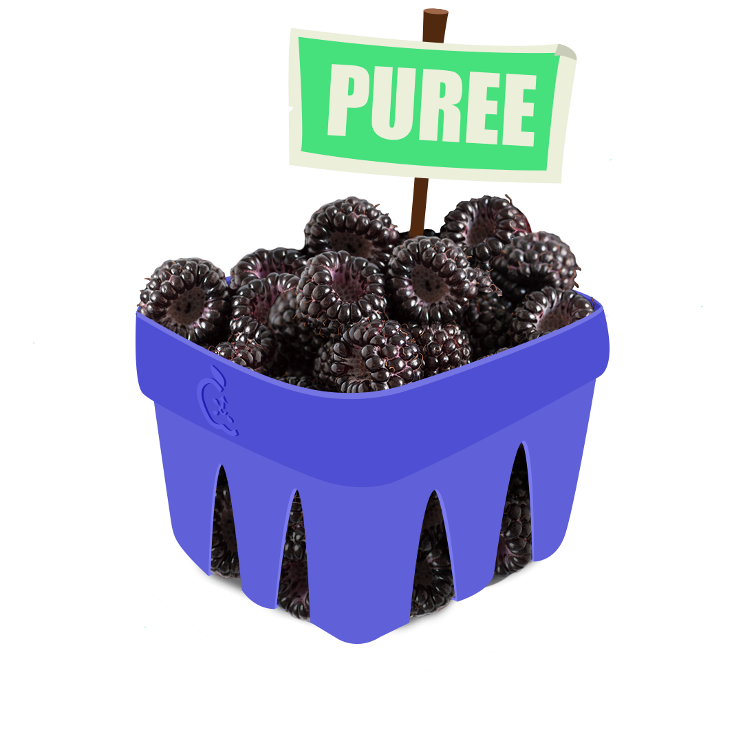 Black Raspberry Puree – Arkaios Fresh