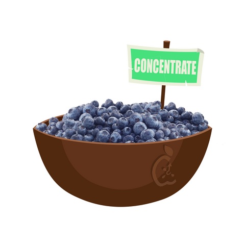 Bilberry Concentrate