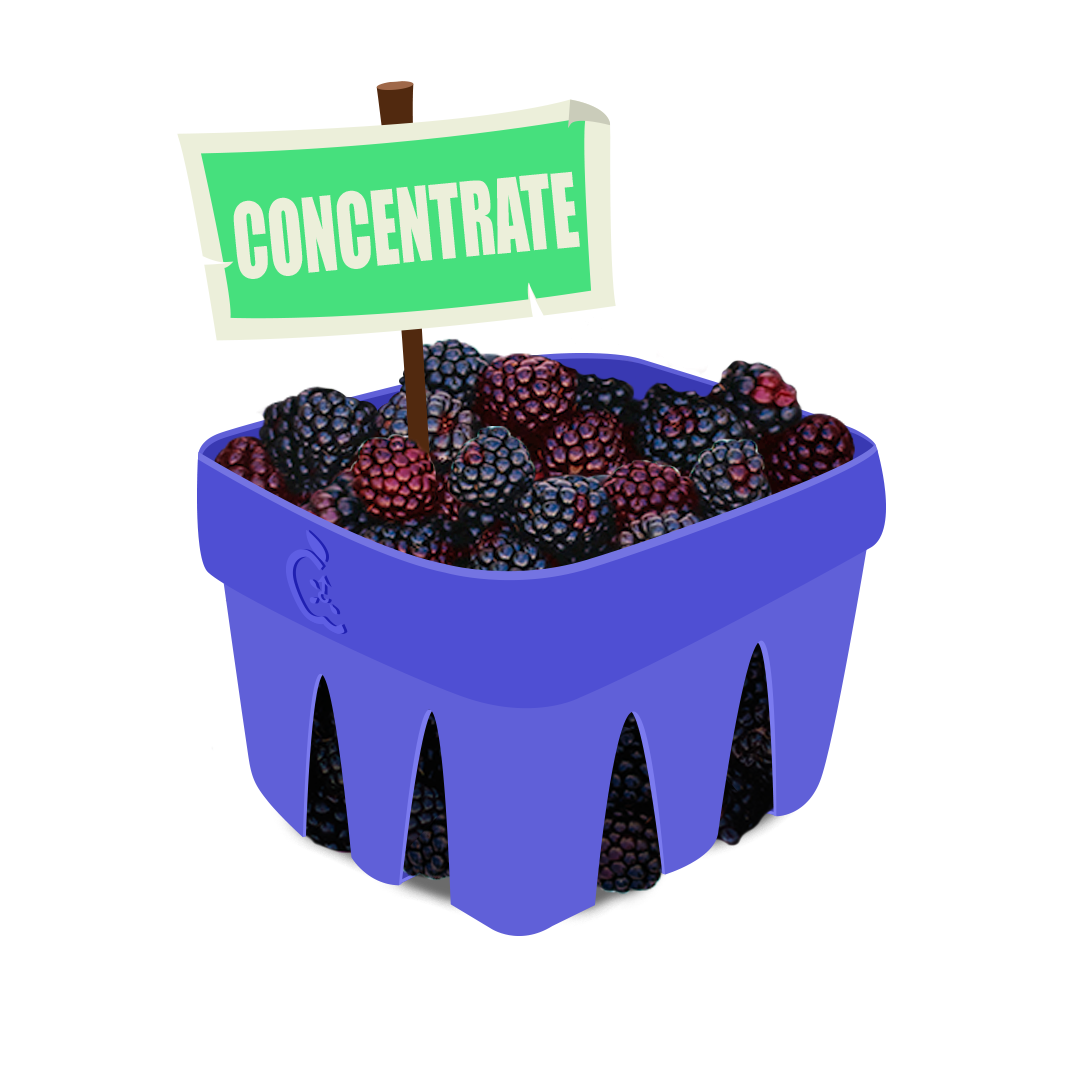 Boysenberry Concentrate Arkaios Fresh