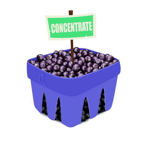 Aronia (Chokeberry) Concentrate