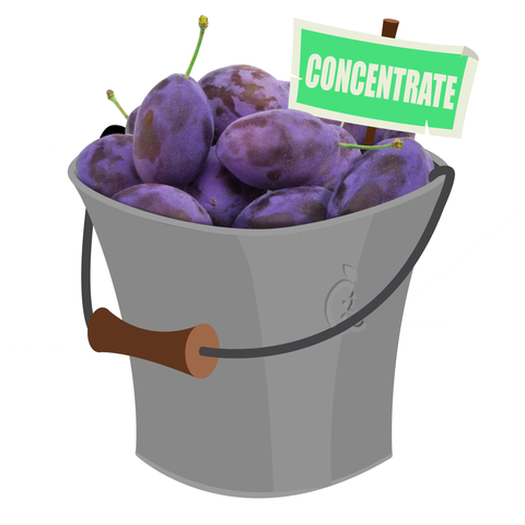 Damson Concentrate