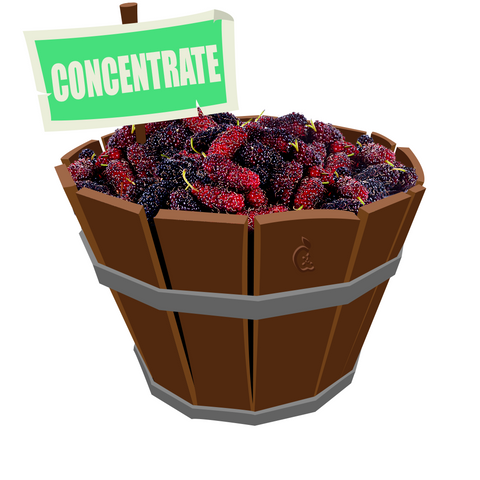 Mulberry Concentrate