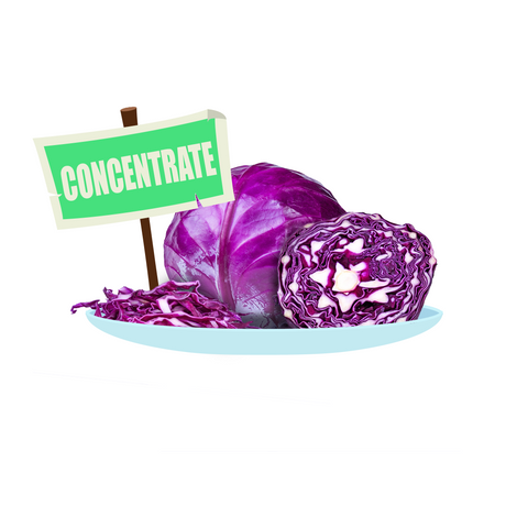 Purple Cabbage Concentrate
