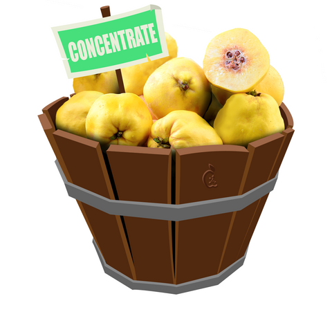 Quince Concentrate
