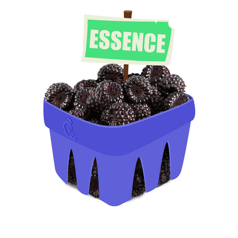 Black Raspberry Essence