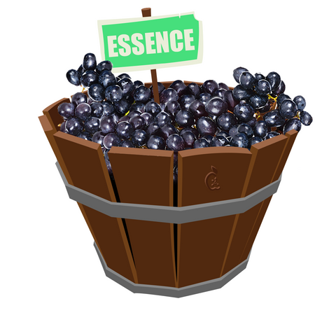 Concord Grape Essence
