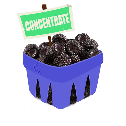 Black Raspberry Supplements Black Raspberry Concentrate – Arkaios Fresh
