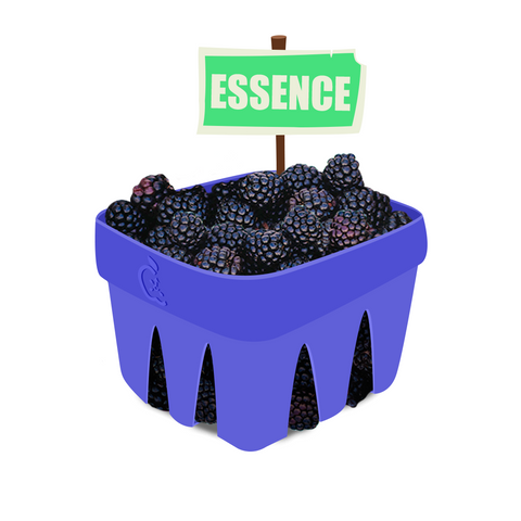 Blackberry Essence