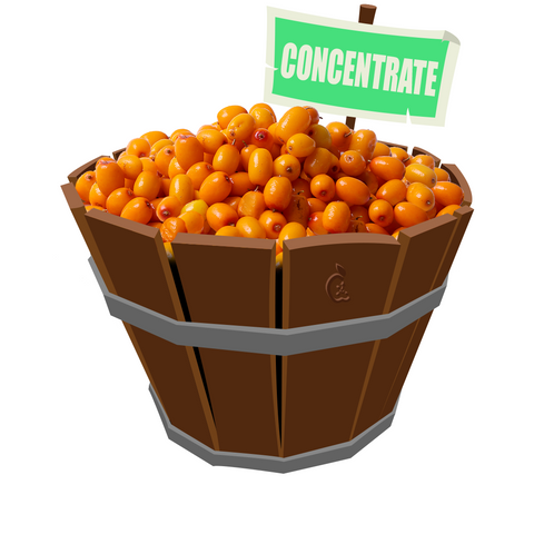 Sea Buckthorn Concentrate